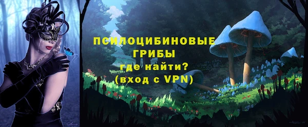 СК Верхний Тагил