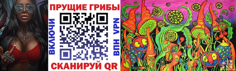 Галлюциногенные грибы мицелий  Касимов 